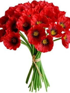 Real PBR Red Wild Flower Artificial Flower??(12 inch, Pack of 1, Flower Bunch)