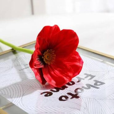 Real PBR Real PBR1Pcs 34cm Artificial Poppy PU Flowers Red Wild Flower Artificial Flower??(12 inch, Pack of 1, Flower Bunch)