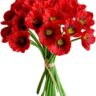 Real PBR Red Wild Flower Artificial Flower??(12 inch, Pack of 1, Flower Bunch)