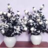 Real PBR White Wild Flower Artificial Flower??(0.5 inch, Pack of 1, Flower with Basket)