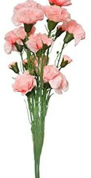 Real PBR Real PBR Artificial 5 Carnation Flower Stick Pink Pink Wild Flower Artificial Flower??(12 inch, Pack of 1, Flower Bunch)