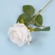 Real PBR Real PBR Retro Artificial Flower Flannel Rose Fake Flower White Wild Flower Artificial Flower??(12 inch, Pack of 1, Flower Bunch)