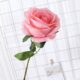 Real PBR Real PBR Artificial Flower Single Rose Multicolor Wild Flower Artificial Flower??(12 inch, Pack of 1, Flower Bunch)