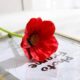 Real PBR Real PBR1Pcs 34cm Artificial Poppy PU Flowers Red Wild Flower Artificial Flower??(12 inch, Pack of 1, Flower Bunch)