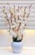 Real PBR Artificial Flowers for Decoration with Pot, Home Decor, Office Decor, White Cherry Blossom Artificial Flower  with Pot??(50 cm, Pack of 1, Flower with Basket)