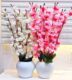 Real PBR Artificial Flowers for Decoration with Pot, Home Decor, Office Decor, Multicolor Cherry Blossom Artificial Flower  with Pot??(50 cm, Pack of 2, Flower with Basket)