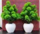 Real PBR Green Wild Flower Artificial Flower??(0.5 inch, Pack of 1, Flower with Basket)