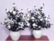 Real PBR White Wild Flower Artificial Flower??(0.5 inch, Pack of 1, Flower with Basket)