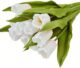 Real PBR White Tulips Artificial Flower??(11 inch, Pack of 1, Flower Bunch)