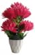 Real PBR Maroon Dahalia Artificial Flower  with Pot??(10 cm, Pack of 1, Flower Bunch)